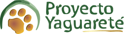 Proyecto Yaguarete
