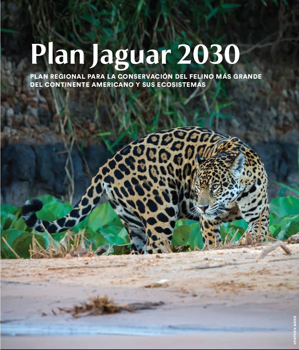 Plan-Jaguar-2030